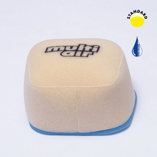 Picture of 2L | OILED | WSP  |  | 2011